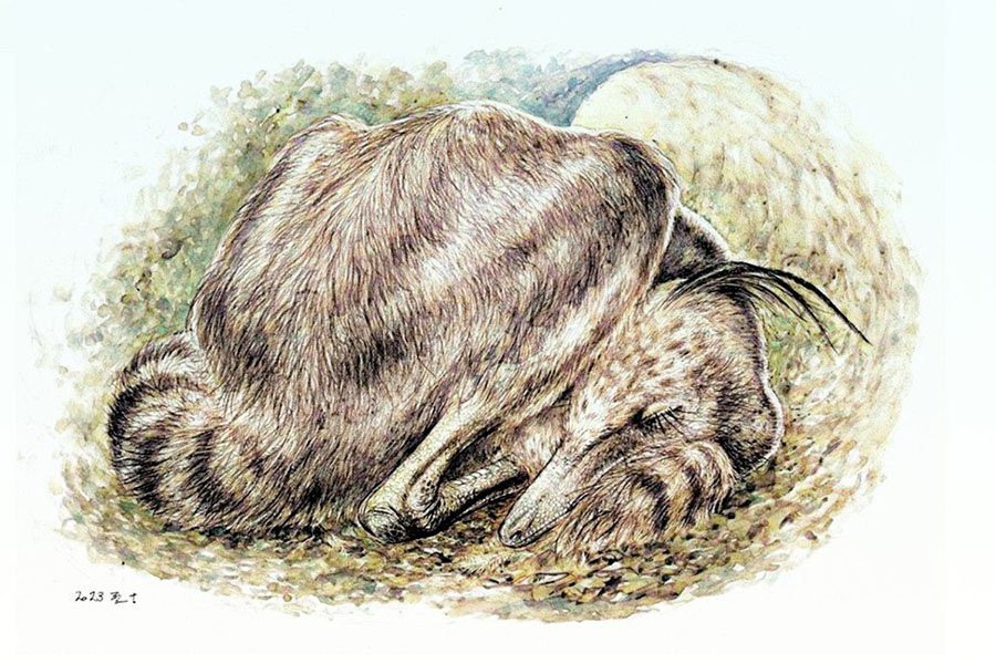 Птицеподобные динозавры спали, как современные птицы