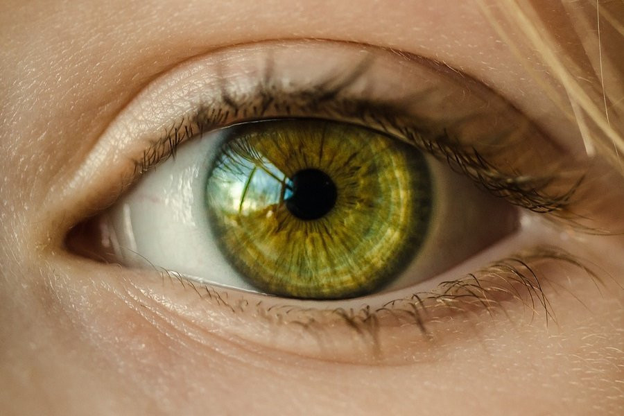 RB: железо служит причиной потери зрения при токсоплазмозе