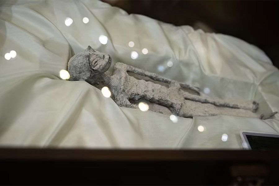 Энтузиаст НЛО утверждает, что мумифицированные «инопланетяне» из Перу на 30% содержат ДНК «неизвестного вида»