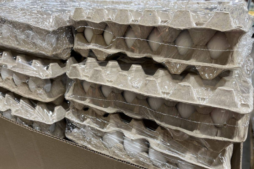 Россияне нашли в продаже яйца с уже созревшими цыплятами