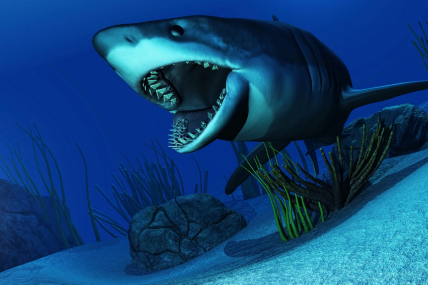 Найдены 6 аномально гигантских существ, которые на самом деле существовали и существуют