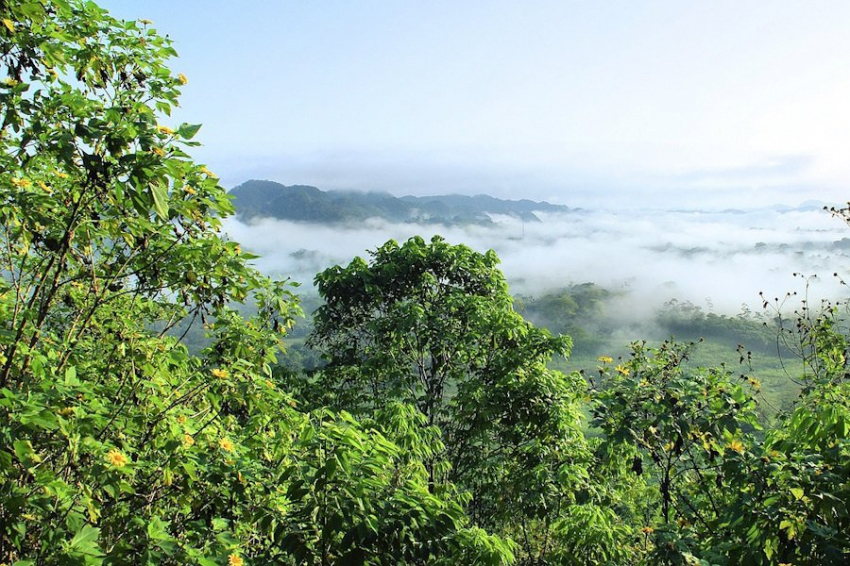Science: в амазонских лесах обнаружены затерянные на тысячелетия города