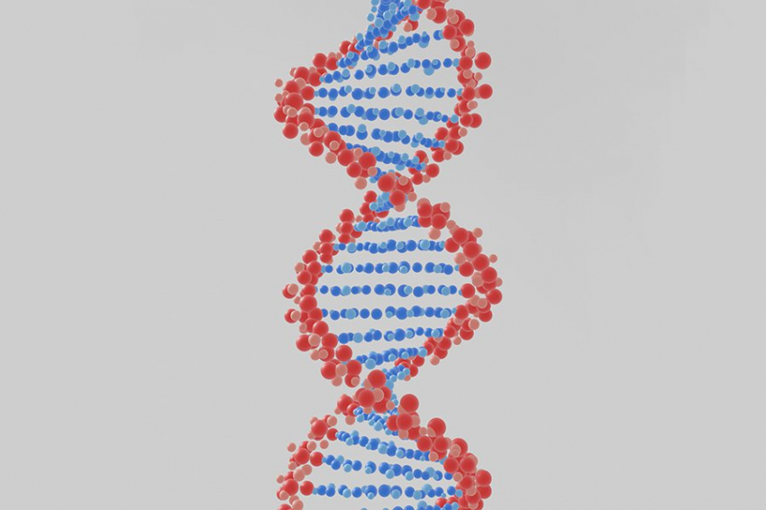 Ученые раскрыли ключевые шаги на пути к восстановлению ДНК