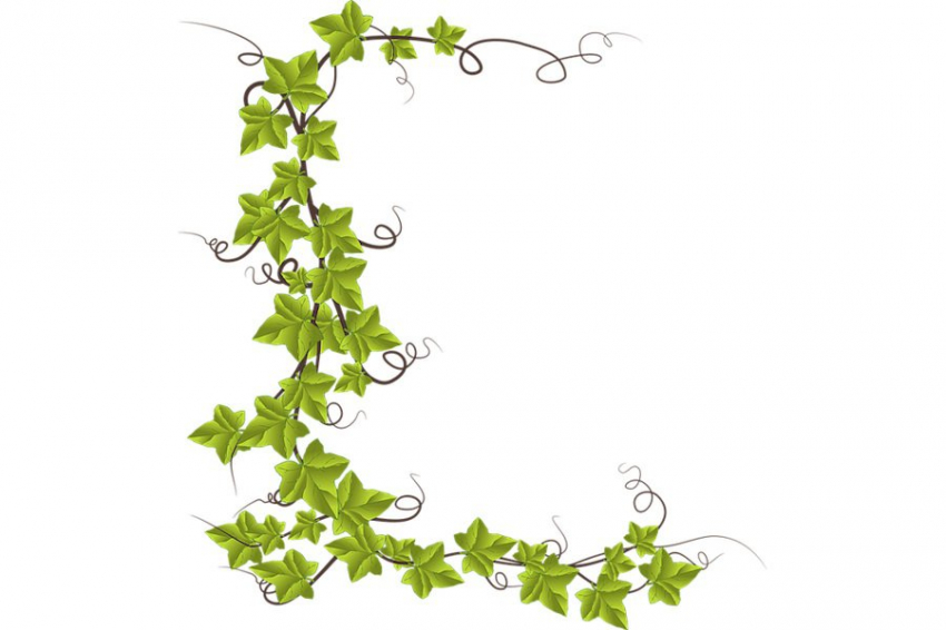 Science Robotics: ученые из Италии создали робота в виде лозы