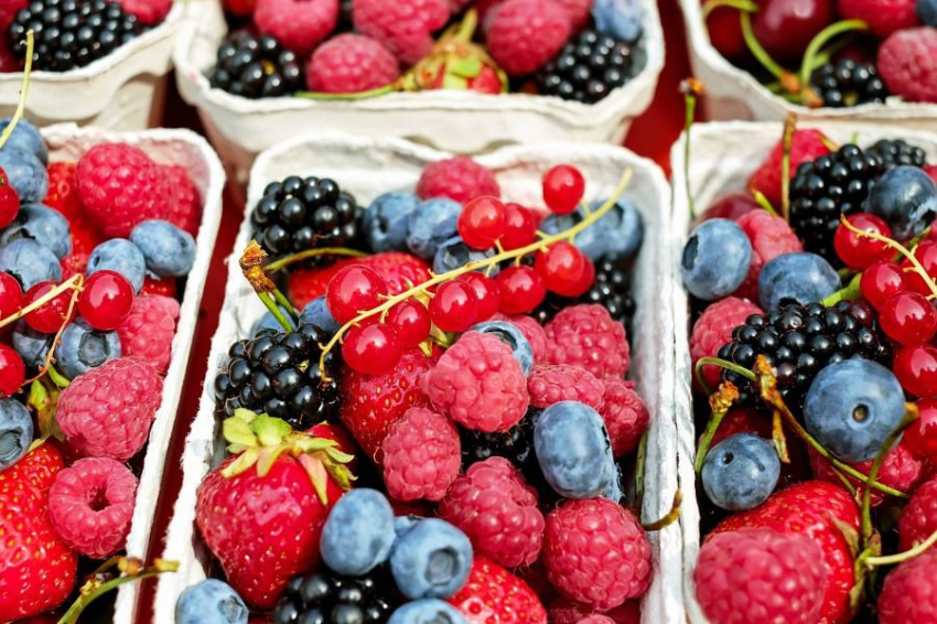 Health: Ученые назвали 5 самых полезных для здоровья ягод