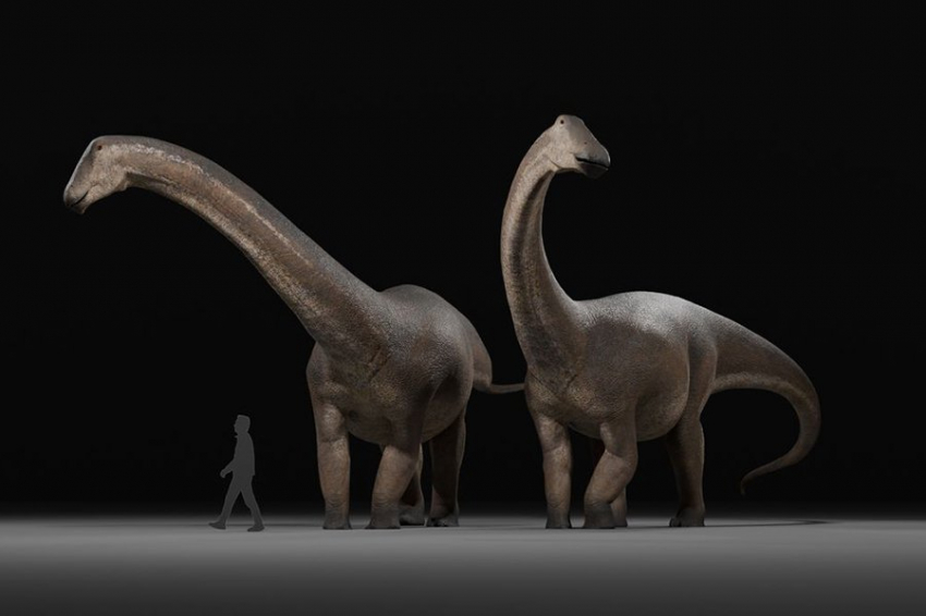 Гигантская «звездная ящерица» была одним из последних динозавров своего вида