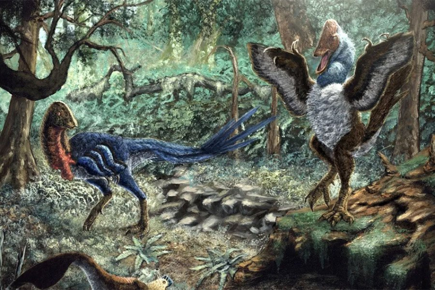 Новый динозавр «Цыпленок рассвета фараона из ада» весил примерно столько же, сколько человек