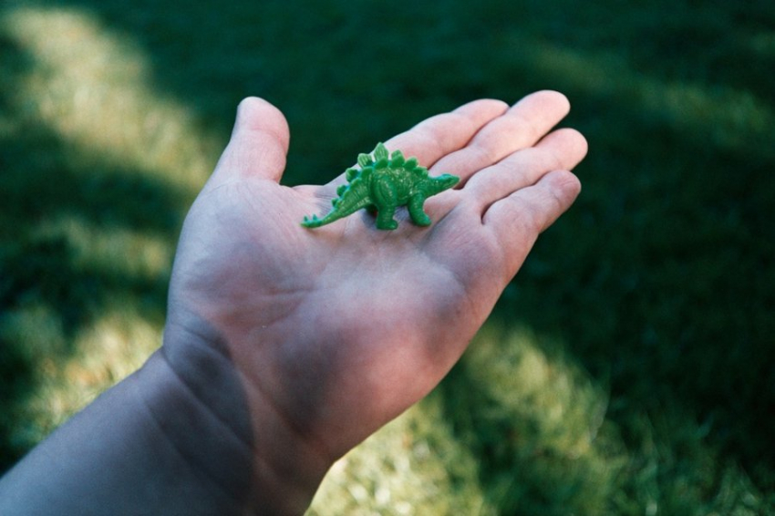 Ученые разобрались, зачем нелетающим динозаврам были нужны подобия крыльев