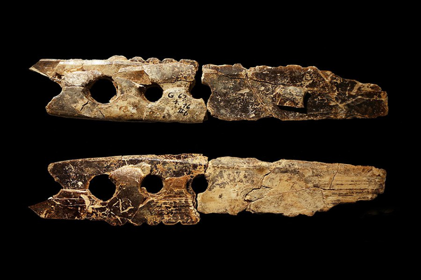 Загадочный инструмент из бивня мамонта использовался для плетения веревок 37 000 лет назад