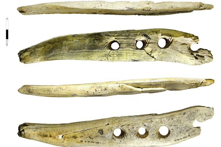 Science Advances: раскрыт секрет таинственного 37 000-летнего артефакта