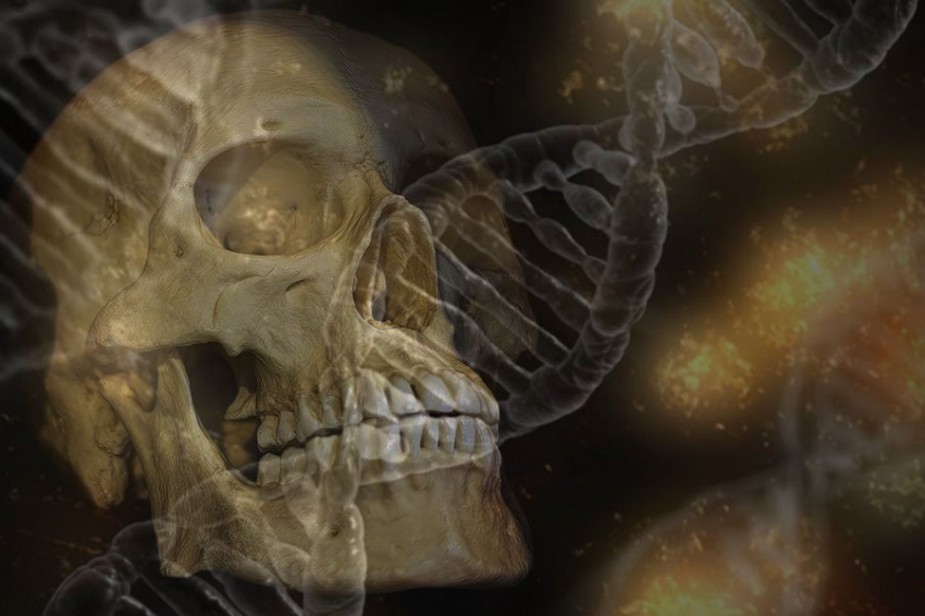 Первый известный случай туберкулеза у неандертальцев выявлен при анализе доисторических костей