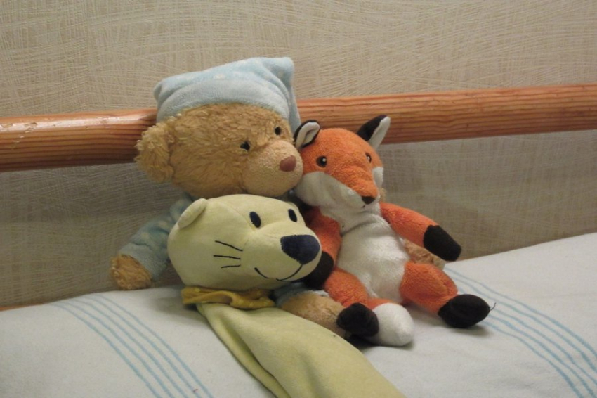 Нужно и взрослым: почему сон с плюшевым мишкой полезен для здоровья