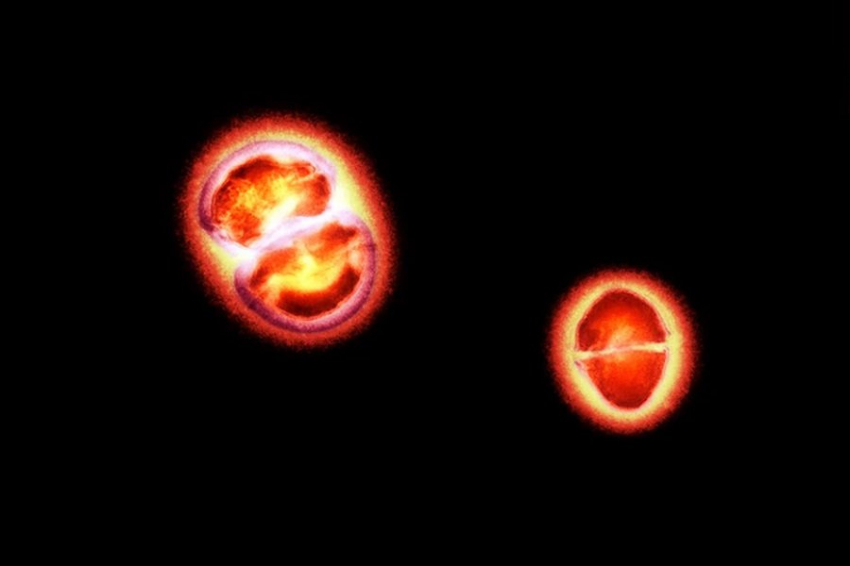 Ученые обнаружили новые сущности в нашем организме – обелиски