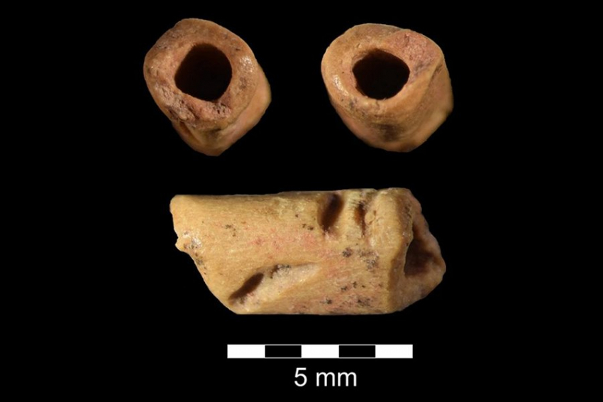 В Америке обнаружена самая старая бусина из кости