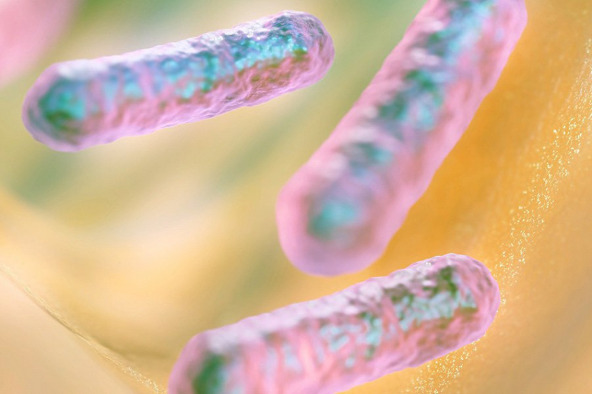 Бактерии, найденные на глубине 1250 метров под землей, могут превращать углекислый газ в кристаллы