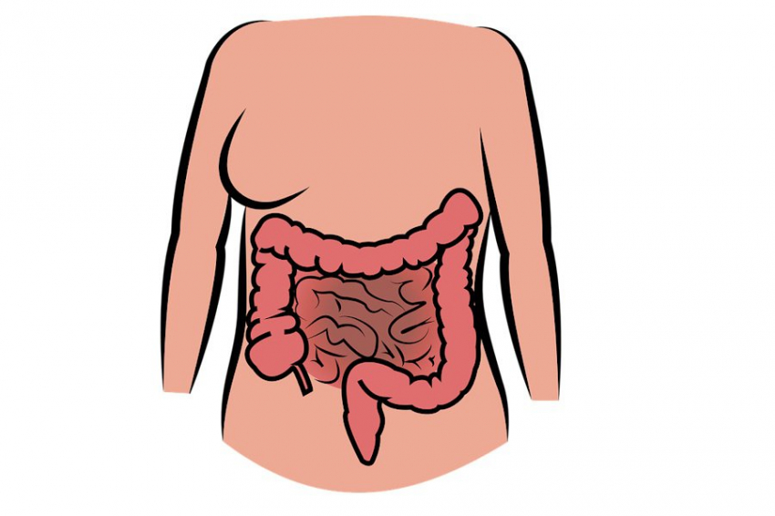 Ученые выяснили причину вздутия желудка, вызываемого натуральным заменителем сахара