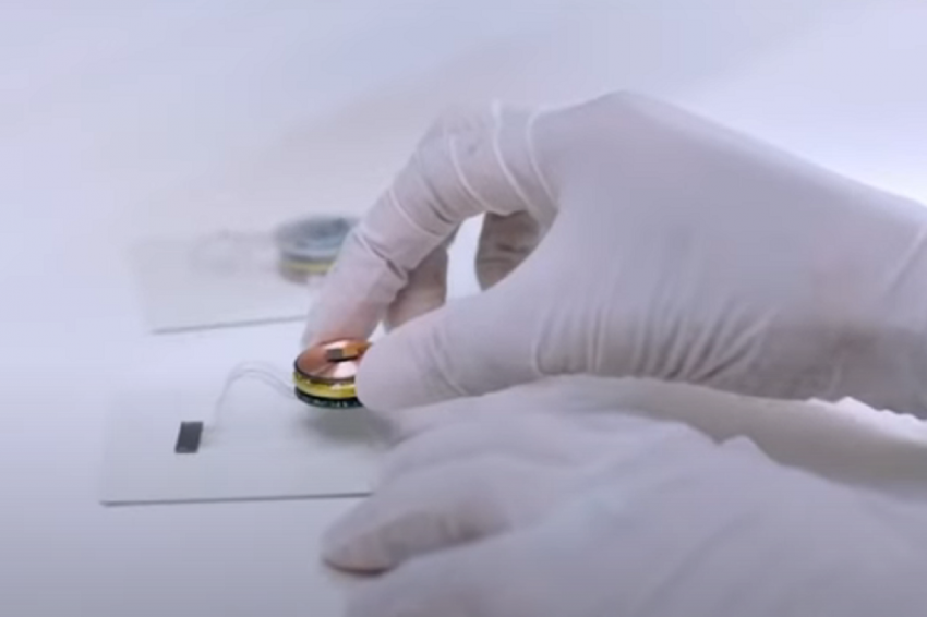 Илон Маск заупстил анализ об успехах пациента с вживленным имплантом Neuralink