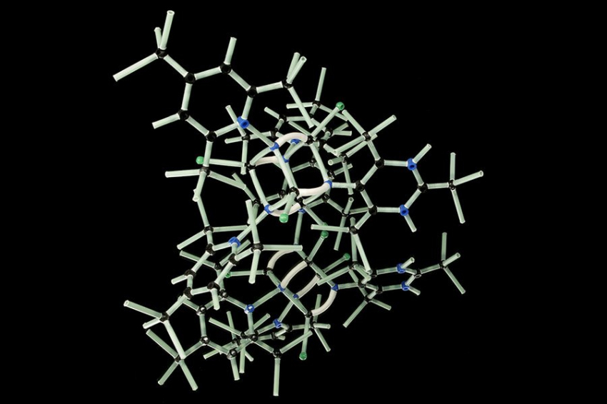 Nature: новая теория может раскрыть тайну происхождения жизни