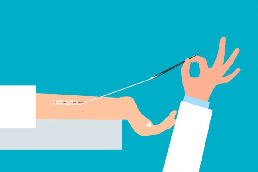 Кубанские ученые создали быстро заживляющую раны пленку из свиной кожи