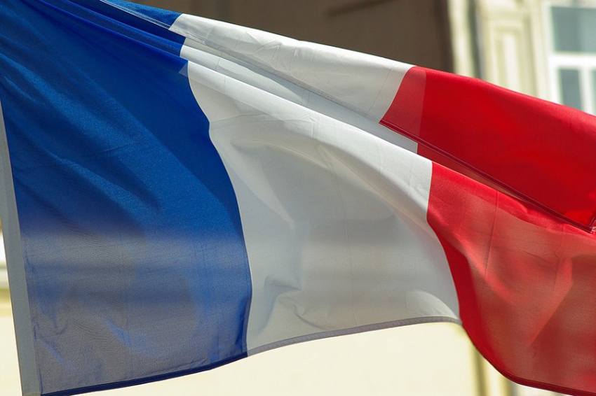 Франция делает из клопов «оружие России»