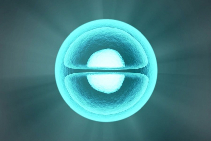 Ученые выявили механизм защиты клеток организма от иммунной атаки