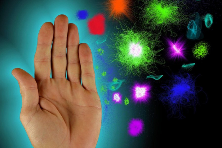 Immunity: иммунные клетки выбирают способ уничтожения патогенов