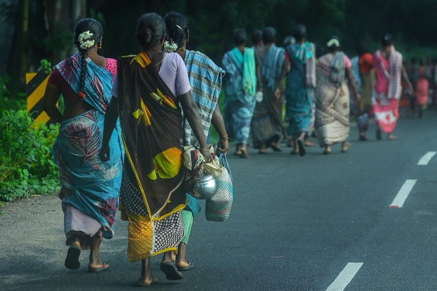 Анализ ДНК помог выявить древних предков жителей Индии