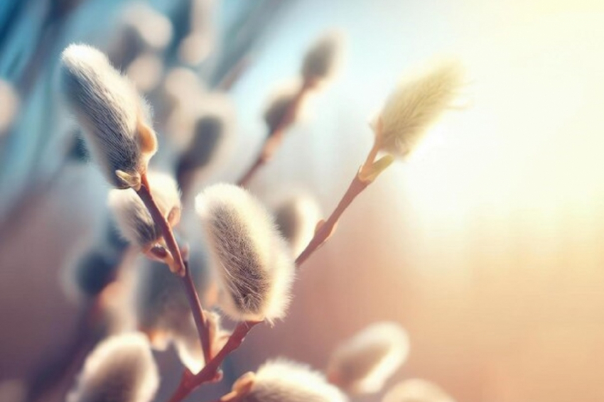 «Апрель учинит расправу». Синоптики составили новый прогноз на середину весны, он пугает