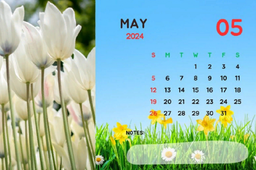 Выходные будут перенесены: в майские праздники 2024 внесли изменения