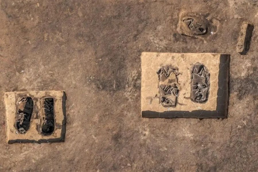 В Германии обнаружено «удивительное» ритуальное неолитическое захоронение 