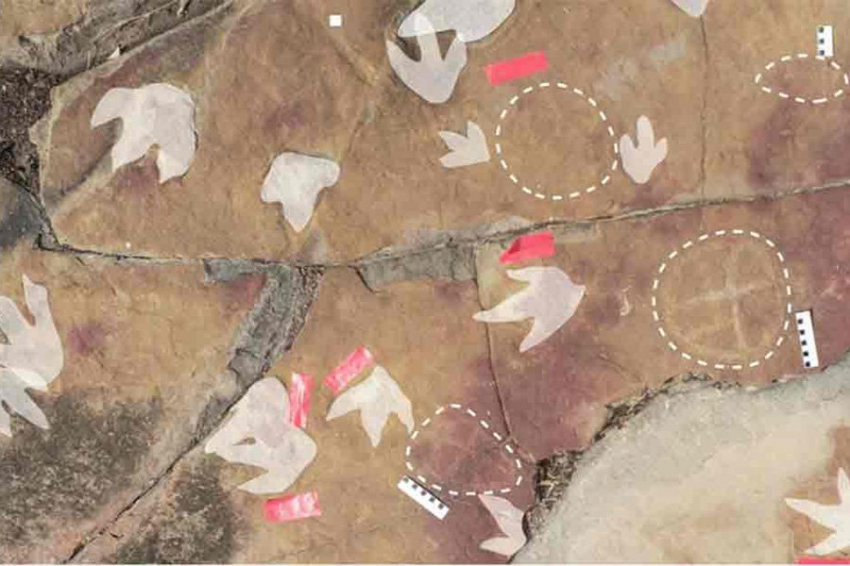 У следов динозавров в Бразилии обнаружены петроглифы-компаньоны