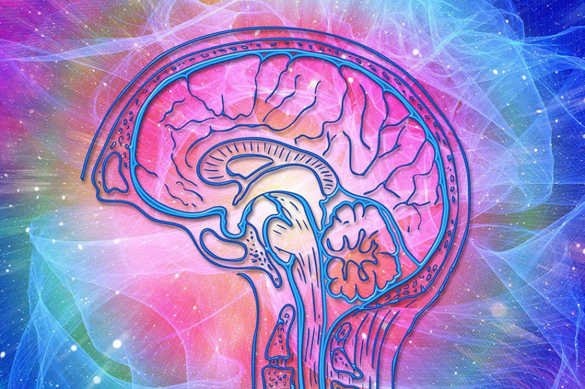 Мозговые волны движутся в противоположных направлениях при запоминании и вспоминании