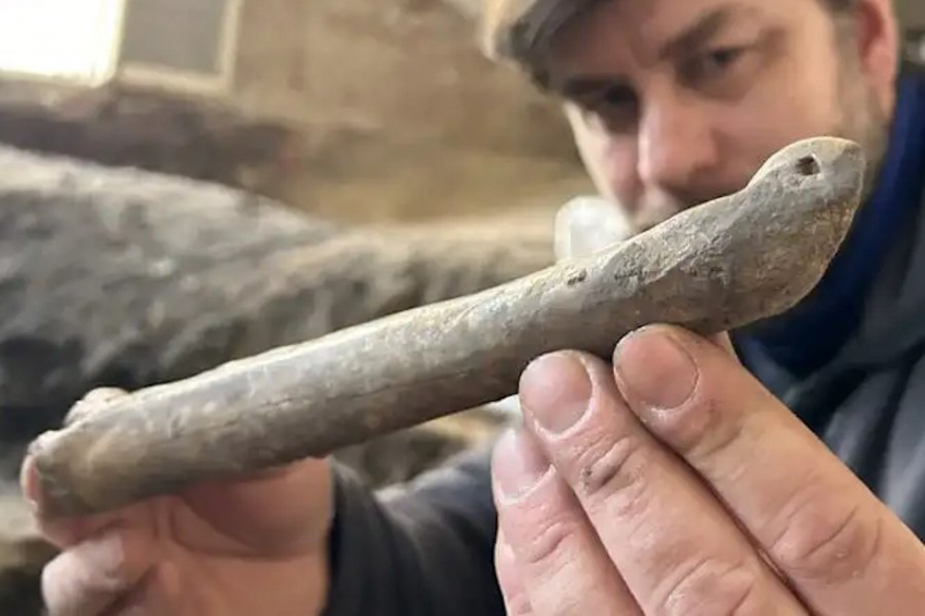 Arkeonews: в Чехии обнаружены тысячелетние коньки из костей