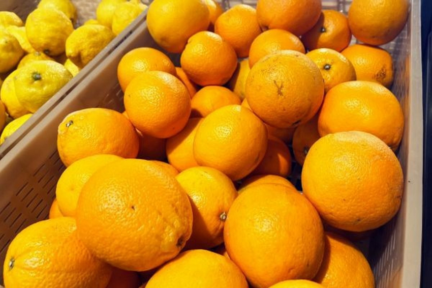 Какой сегодня праздник? Именинники и самые важные события на 31 марта 2024 года в России, мире