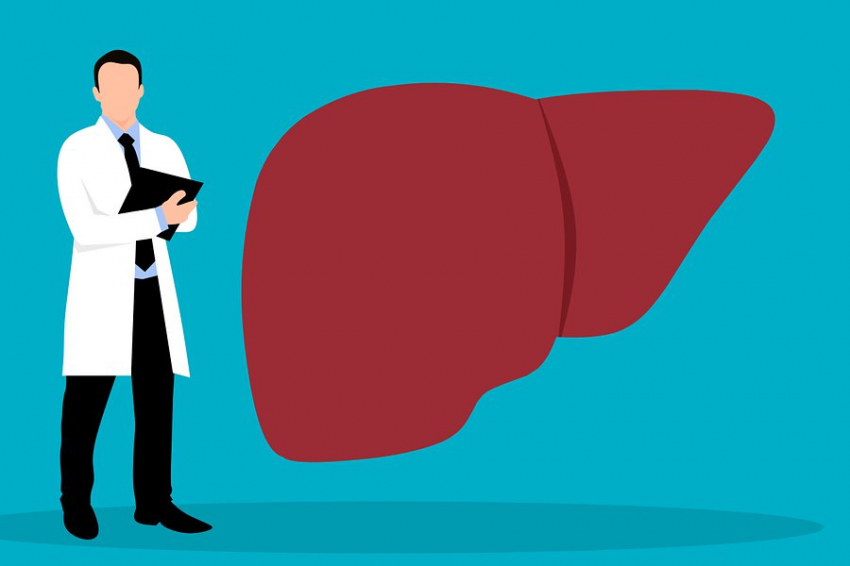 Учёные разработали новое лекарство для борьбы с жировой болезнью печени