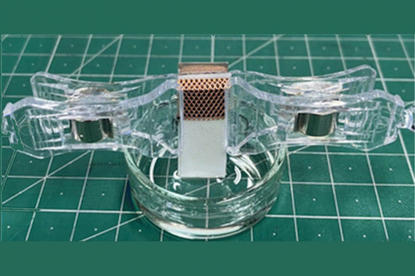 RSC: в Японии разработали активируемую водой батарейку из бумаги