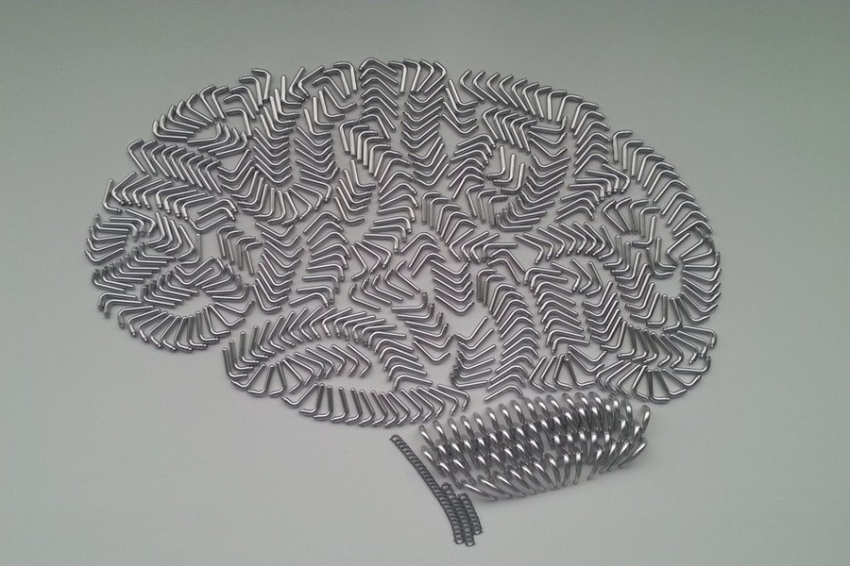 Ученые выяснили механизм настройки нейронных сетей в мозге