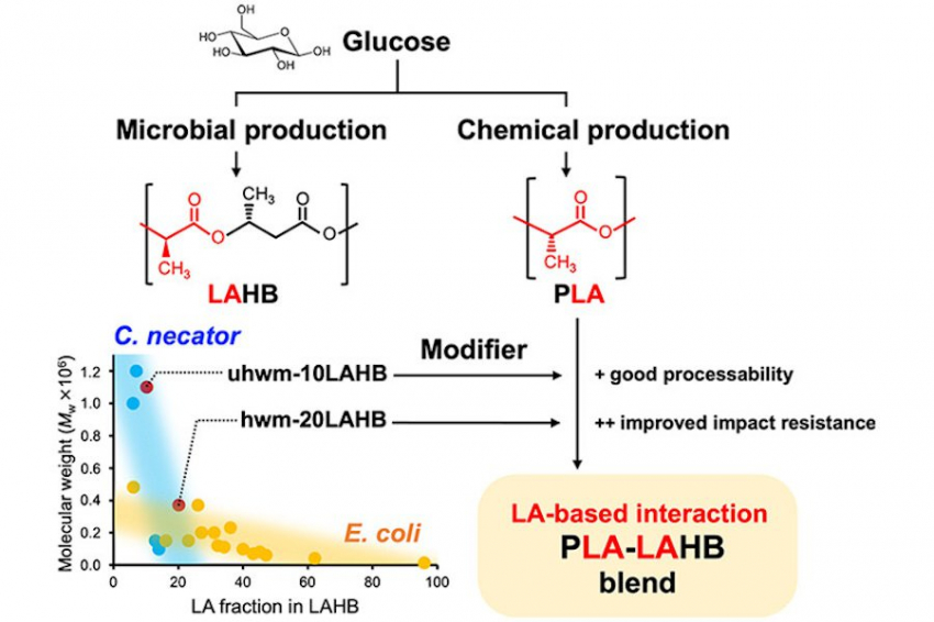 ACS: новый биоразлагаемый модификатор улучшает свойства PLA