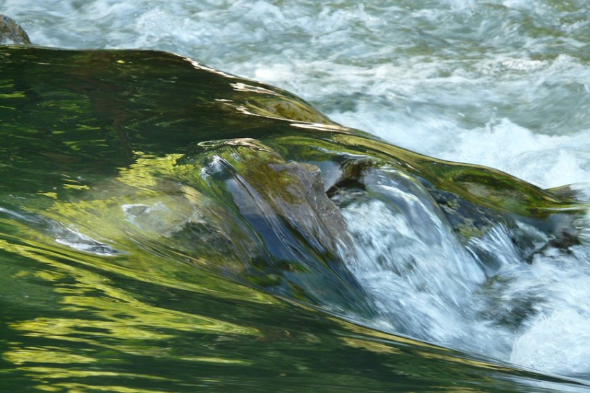 Science: увеличение уровня CO2 в речных водах угрожает экосистемам