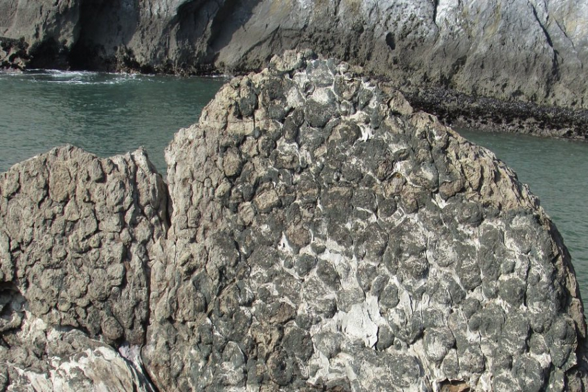 В Саудовской Аравии найдены древнейшие обитатели Земли