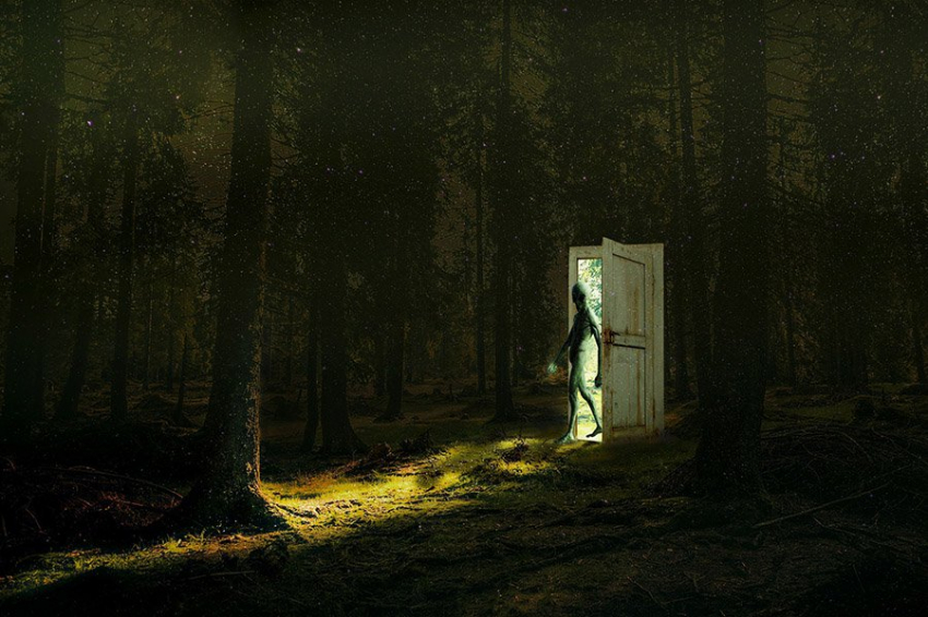 НЛО могут быть свидетельством того, что среди нас живут «криптоземные существа»