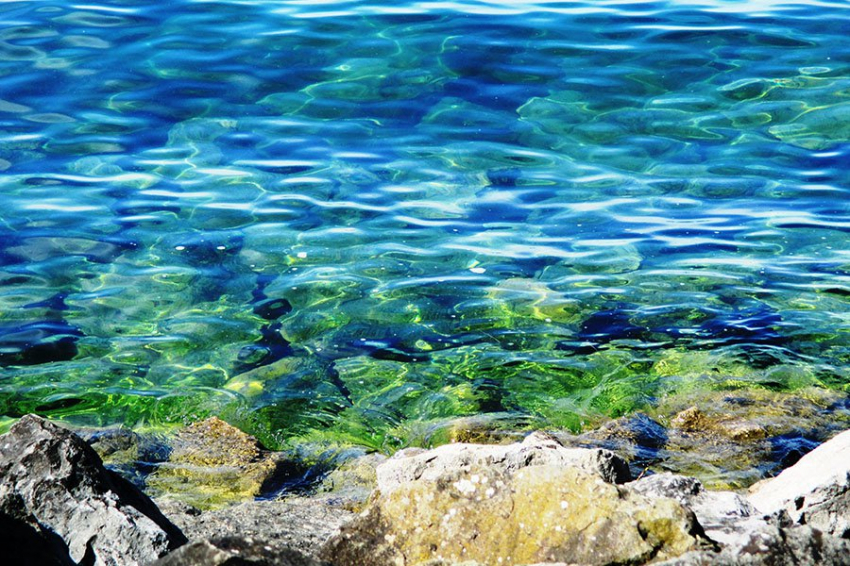 Nature: океанские водоросли неожиданно помогают охладить Землю