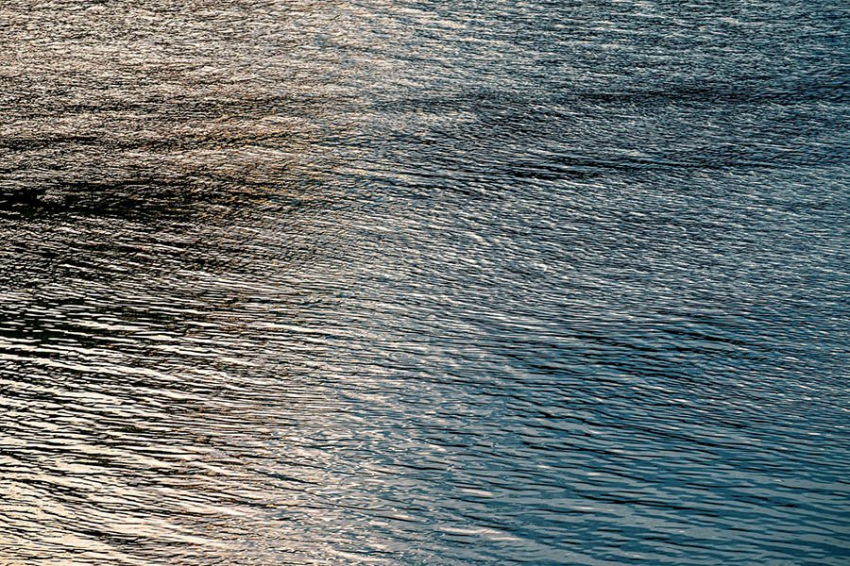 Верхняя поверхность прибрежных вод может накапливать бактерии и антибиотики