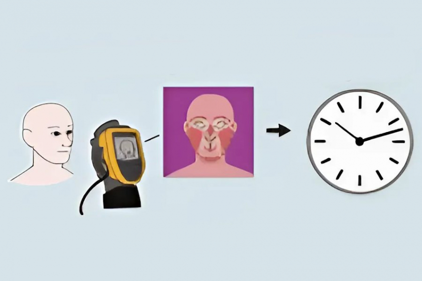 CM: различие температур участков лица предупреждает о болезнях