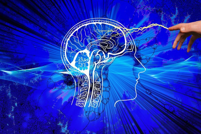 Российские нейрофизиологи уловили «внутренний голос» в электрической активности мозга