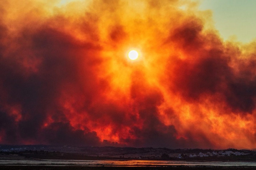 SciAdv: обнаружена неожиданная польза дыма от природных пожаров