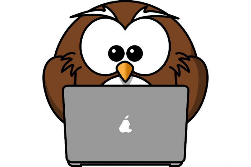 The Guardian: "совы" продуктивнее "жаворонков", утверждает исследование