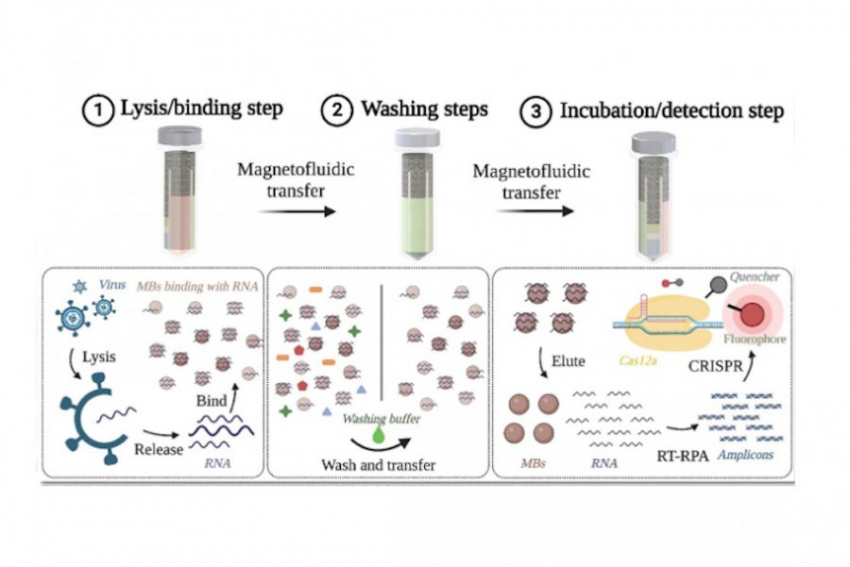 Разработан новый прибор для скоростной диагностики инфекций