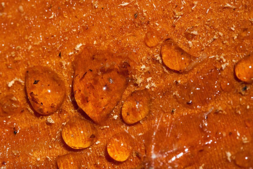 Студенты МФТИ создали композит, приближающийся по своим свойствам к алюминию