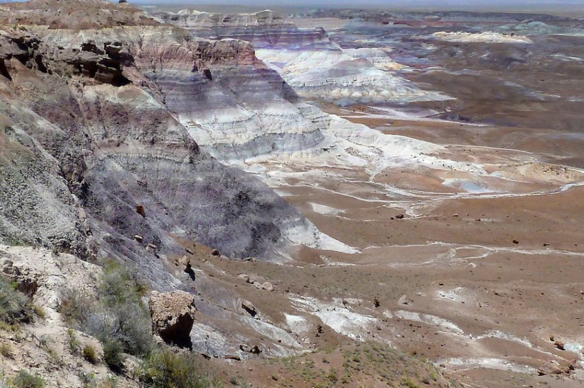 RSOS: найдены окаменелости мягкотелого хордового, обитавшего 518 млн лет назад